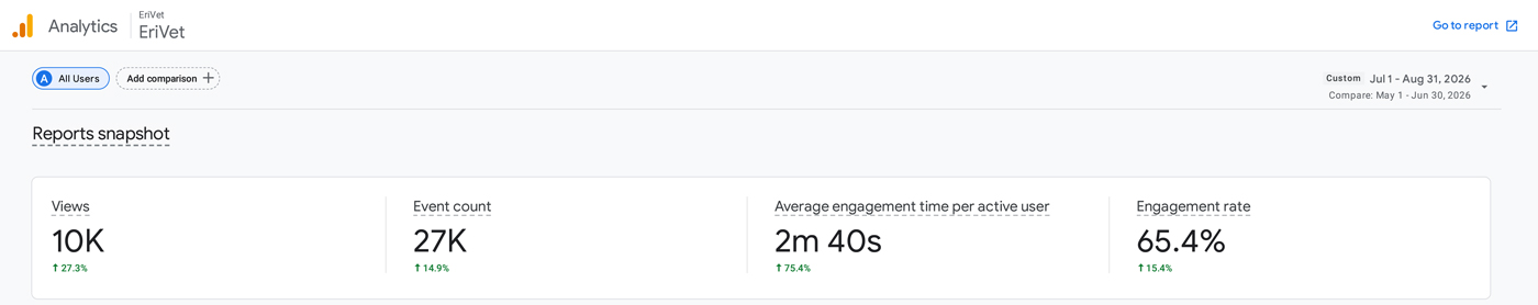 Обзор Google Analytics для EriVet
